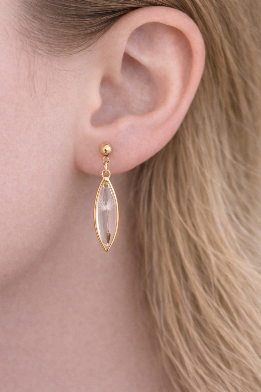 Podolgovati uhani z regratovim semenom, pozlačeni