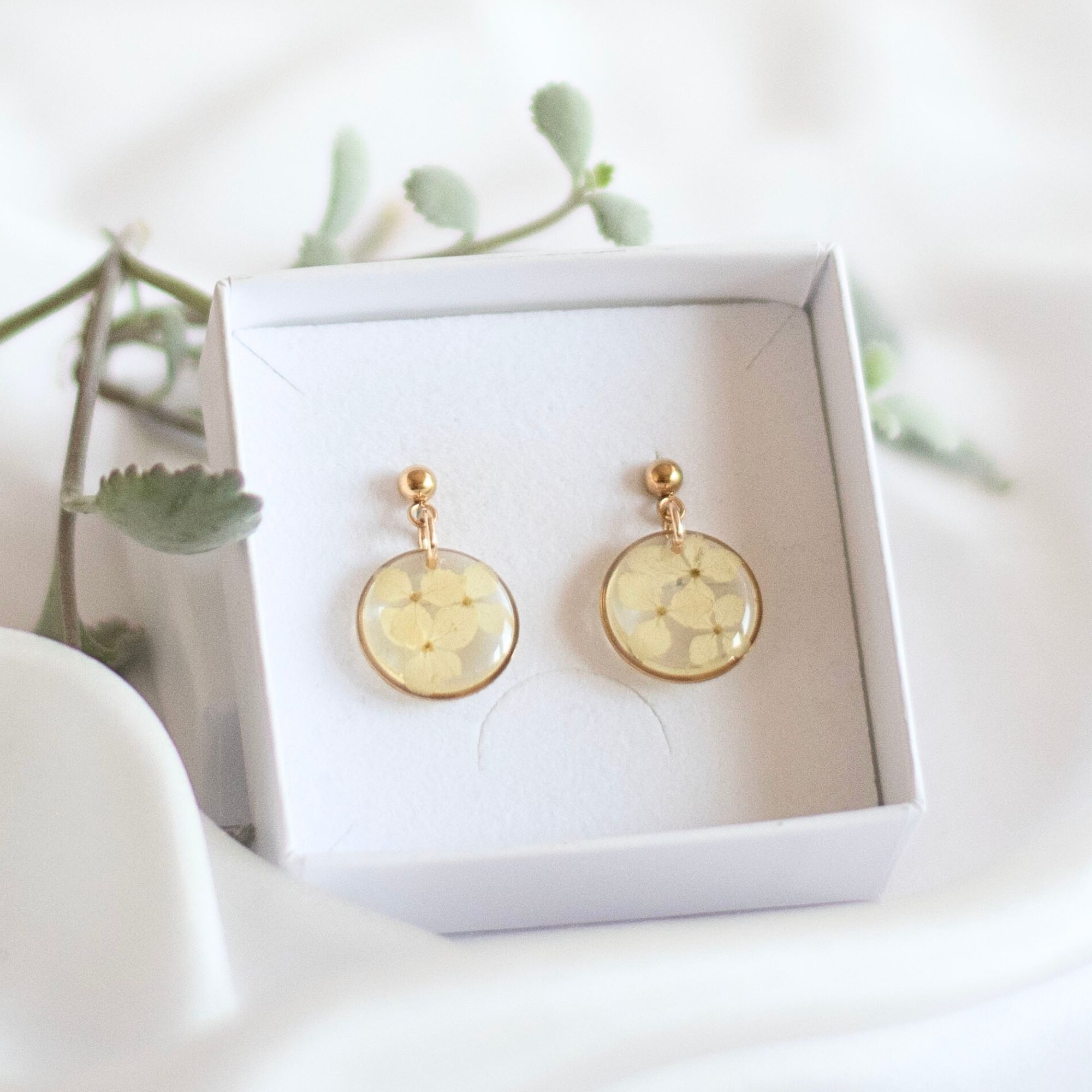 Uhani z belo hortenzijo, pozlačeni